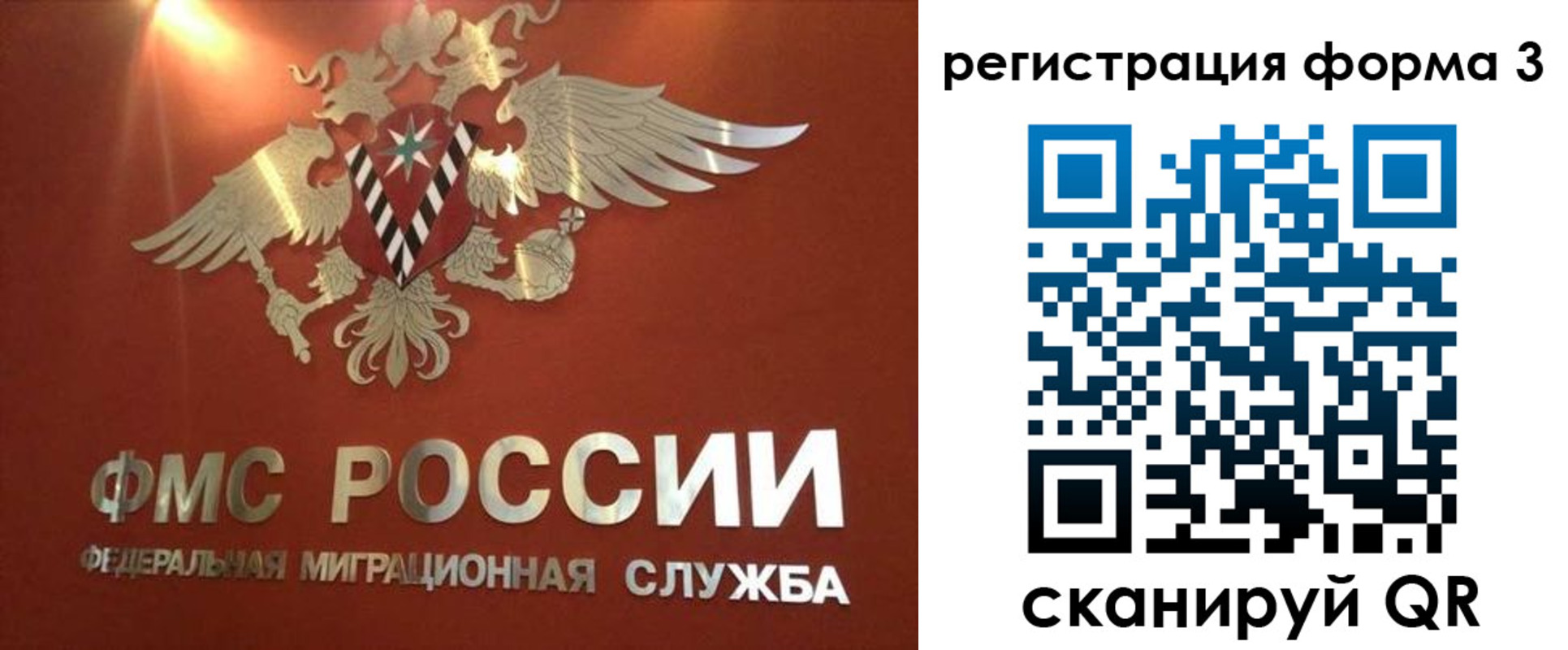 временная регистрация недорого в Ясном